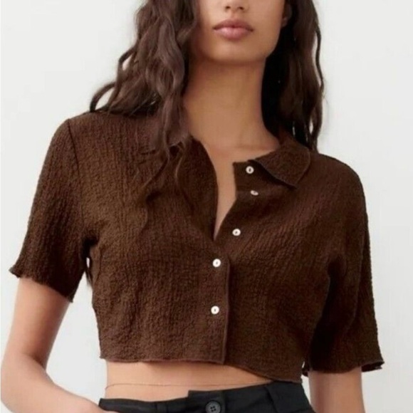 Zara Brown Textured Women's Crop Top Sz. XS - Picture 1 of 9